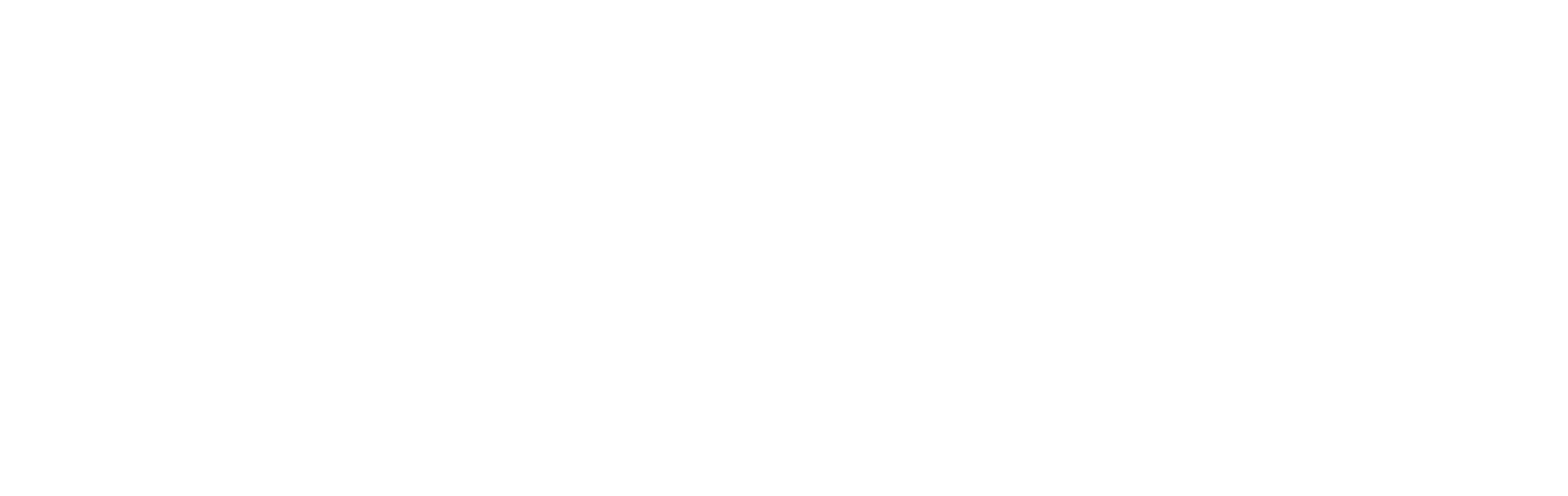 logo light
